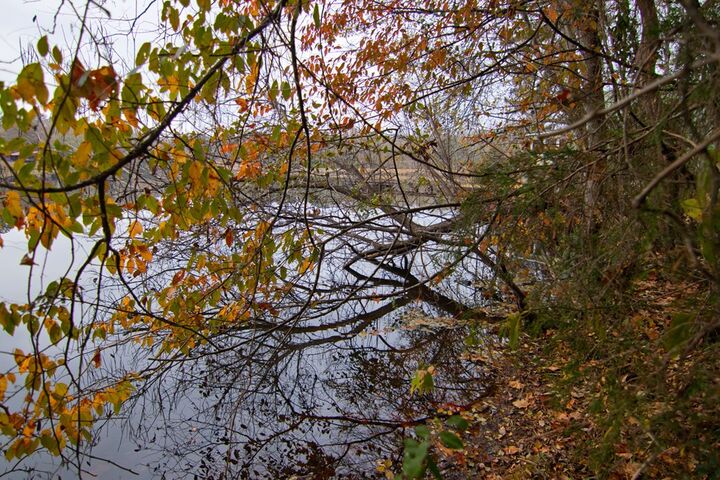 Property Photo:  0 Pine Lake Drive  GA 31833 