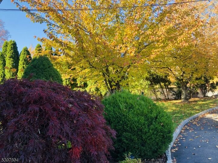 Property Photo:  159 Ball Ave  NJ 07054 