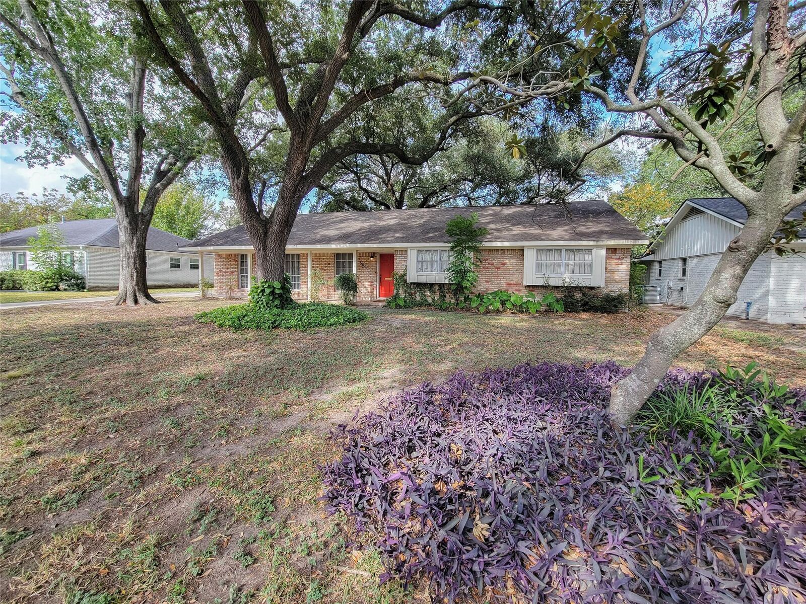 Property Photo:  5606 Pine Street  TX 77081 