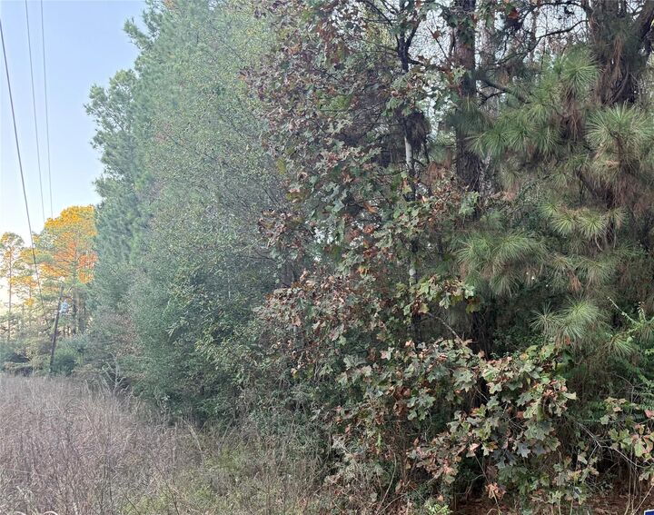 Property Photo: Lot 111-A Pioneer Tr TX 77351