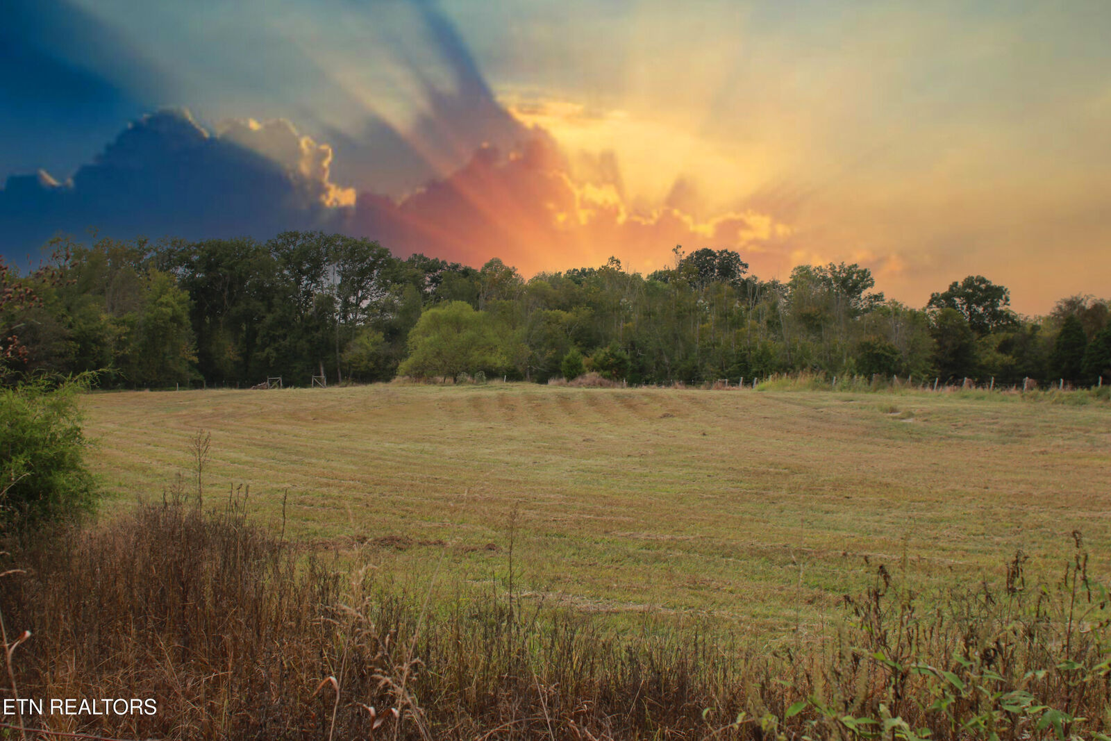 Property Photo:  2497 Mt Carmel Rd  TN 37322 