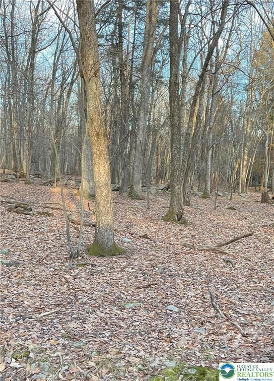 Property Photo:  80 Spokane Road  PA 18210 