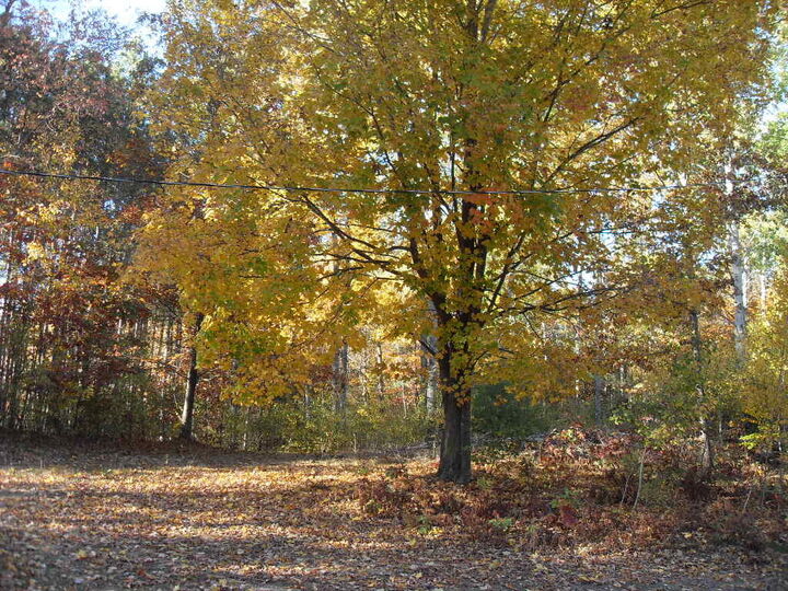 Property Photo:  4107 E White River Drive  MI 49421 