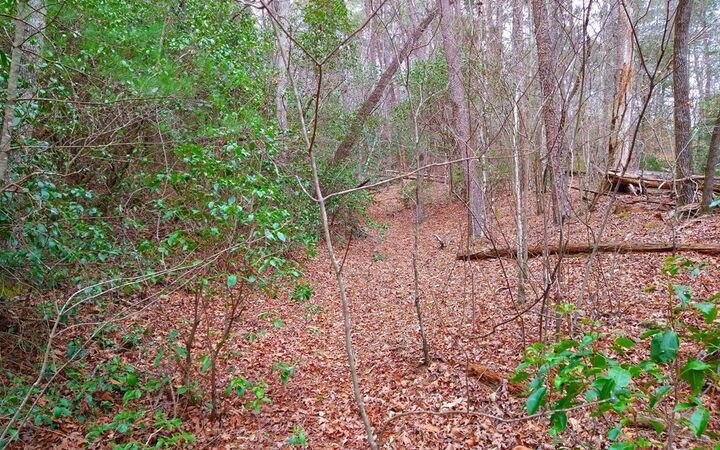 Property Photo:  20 Ac Hidaway Drive  GA 30536 