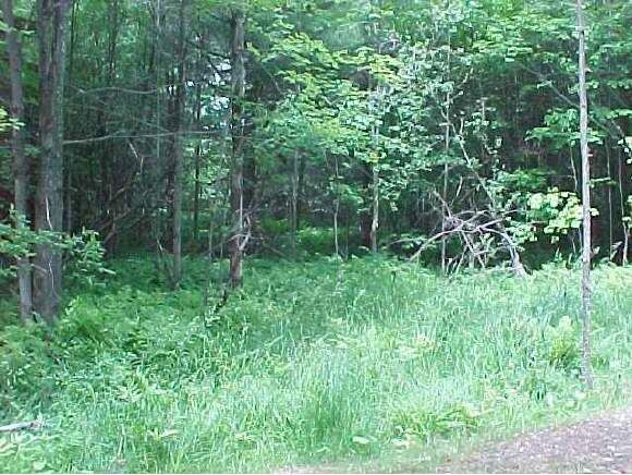 Property Photo: 0 Ridge View Road VT 05674