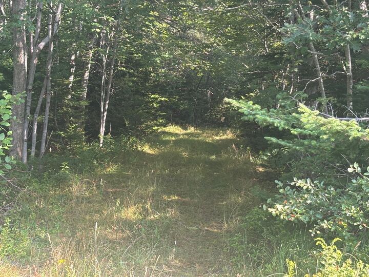 Property Photo:  Central Port Mouton Road  NS B0T 1T0 