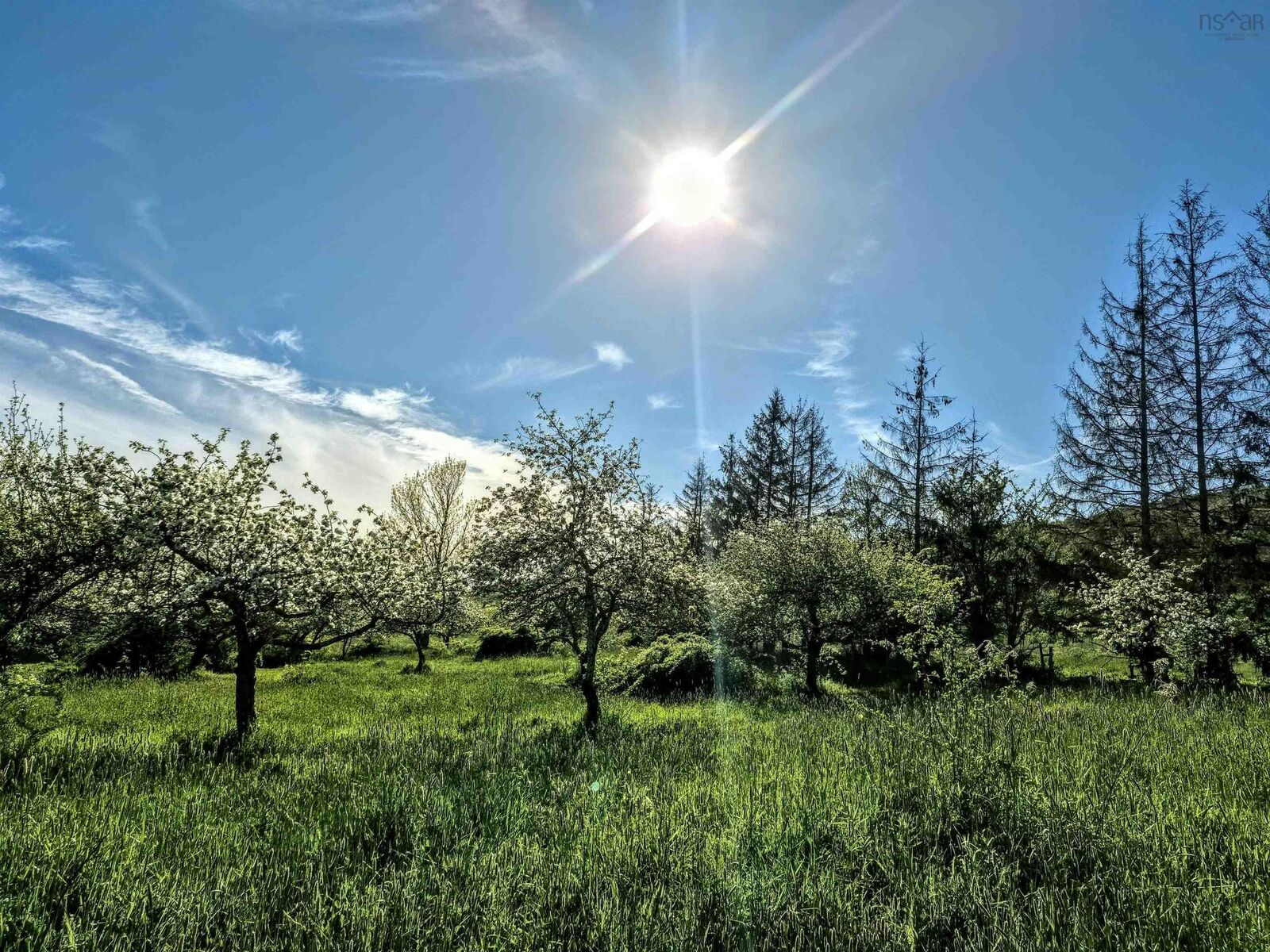 Property Photo:  Lot 2025 Clarence Road  NS B0S 1M0 