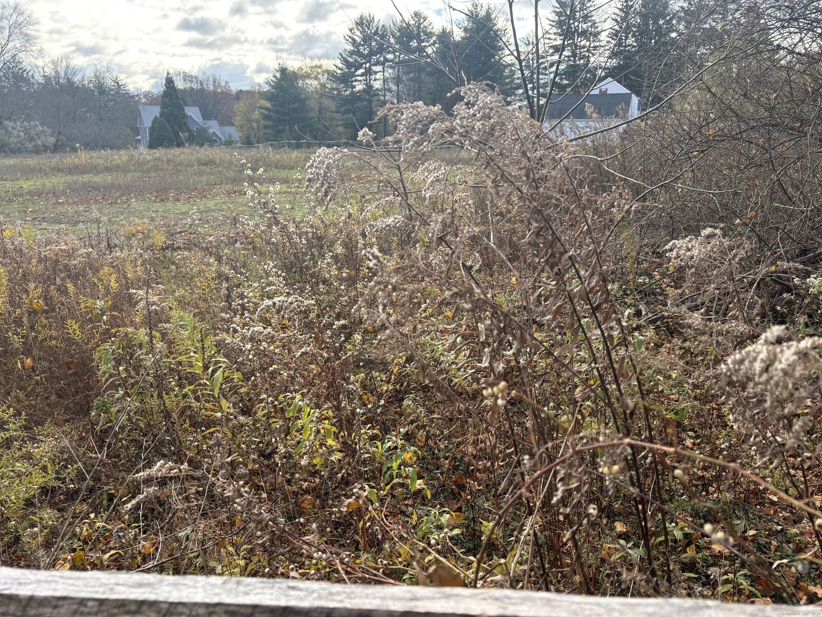 Property Photo: 99 Cherry Hill Road CT 06405