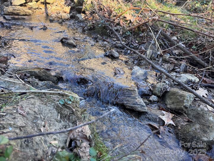 Property Photo: 15 +/- Acres Riddle Branch Road NC 28714