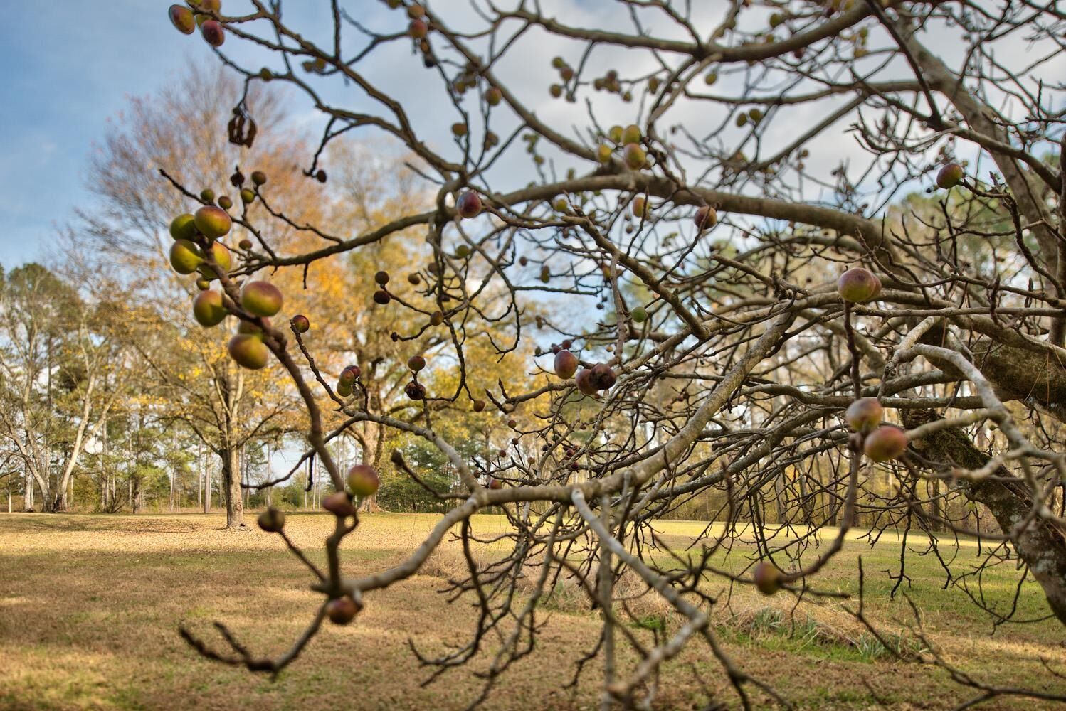 Property Photo: 5140 Seven Islands Road GA 30650