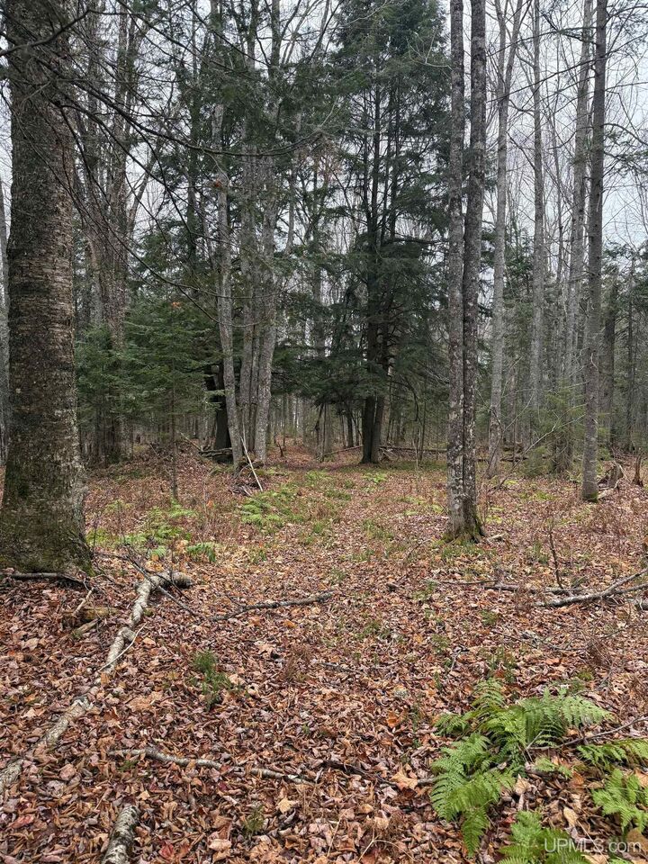 Property Photo: Lot 11 Keweenaw Pass MI 49945