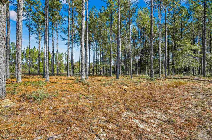 Property Photo: 1421 Mineral Springs Rd FL 32565