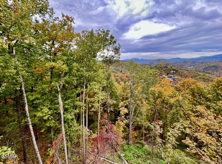 Property Photo:  1817 Pinestand Ridge Way Way  TN 37862 