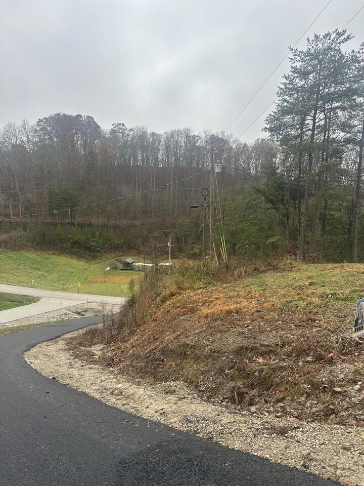 Property Photo:  385 Lots 6/7 Freeman Branch Road 6/7  KY 40729 