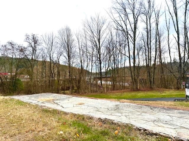 Property Photo: 8 River Road NY 12719