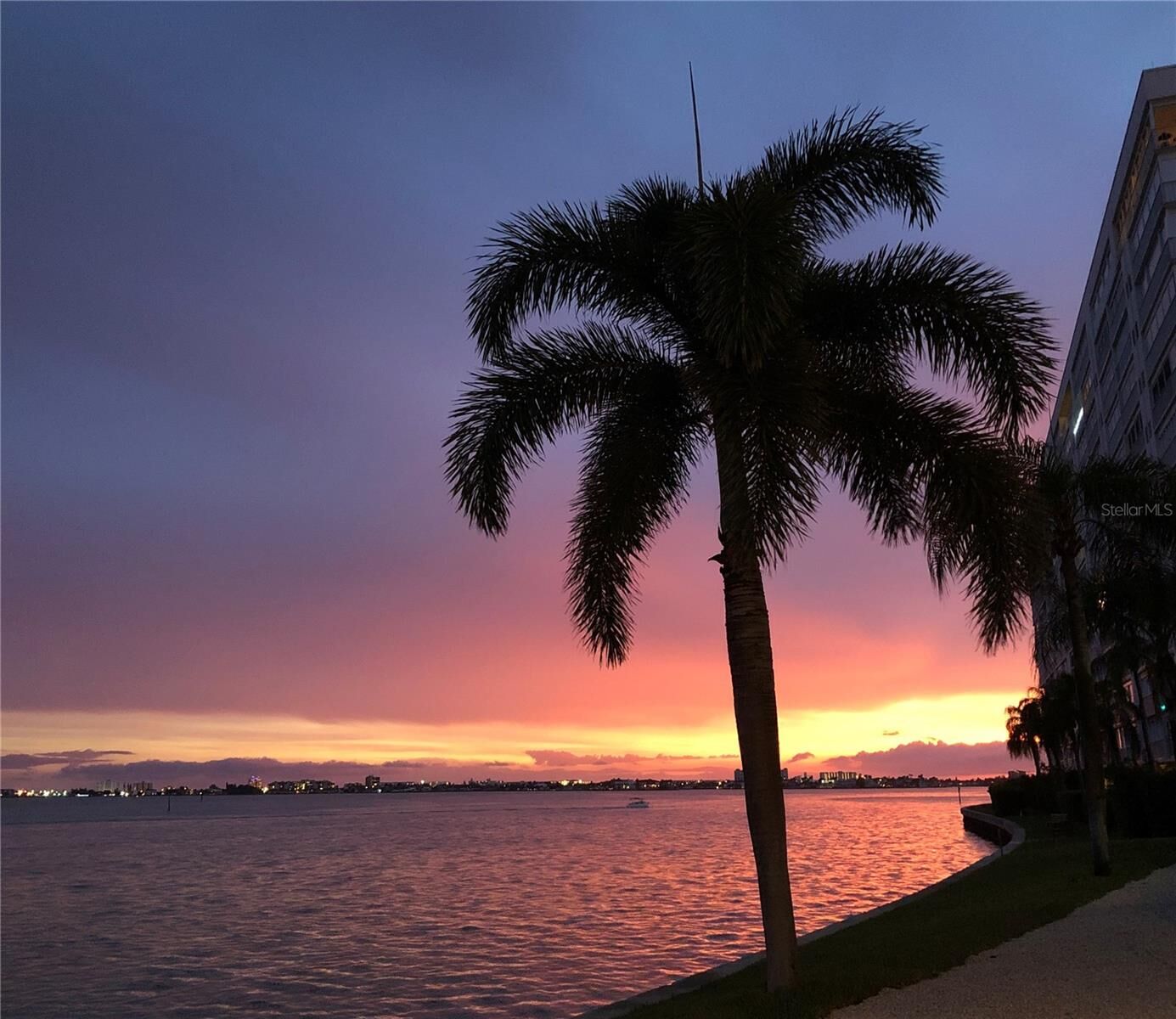 Property Photo:  6020 Shore Boulevard S 207  FL 33707 