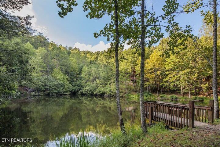 Property Photo:  3163 Sourwood Way  TN 37862 