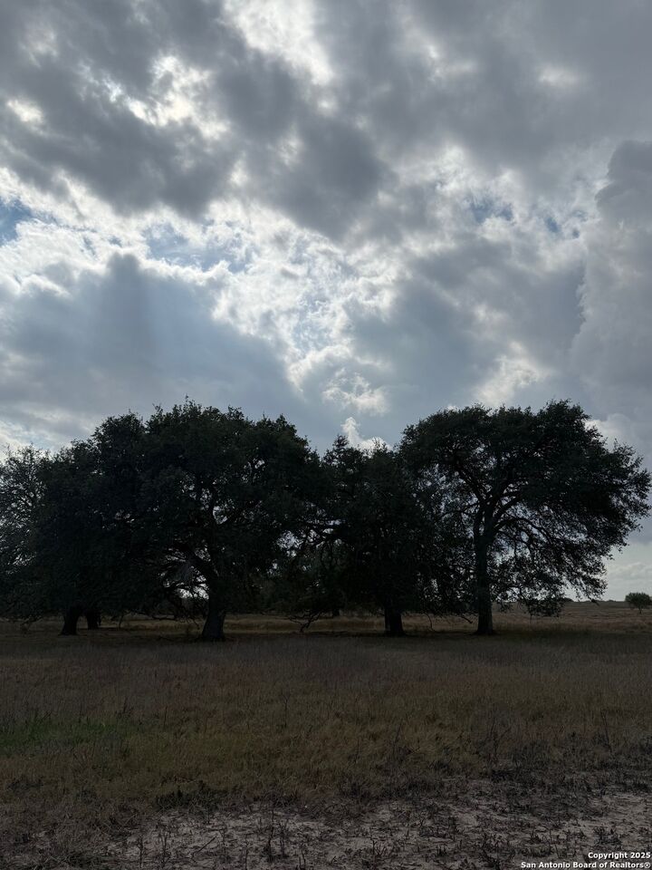 Property Photo:  00 County Road 302  TX 78151 