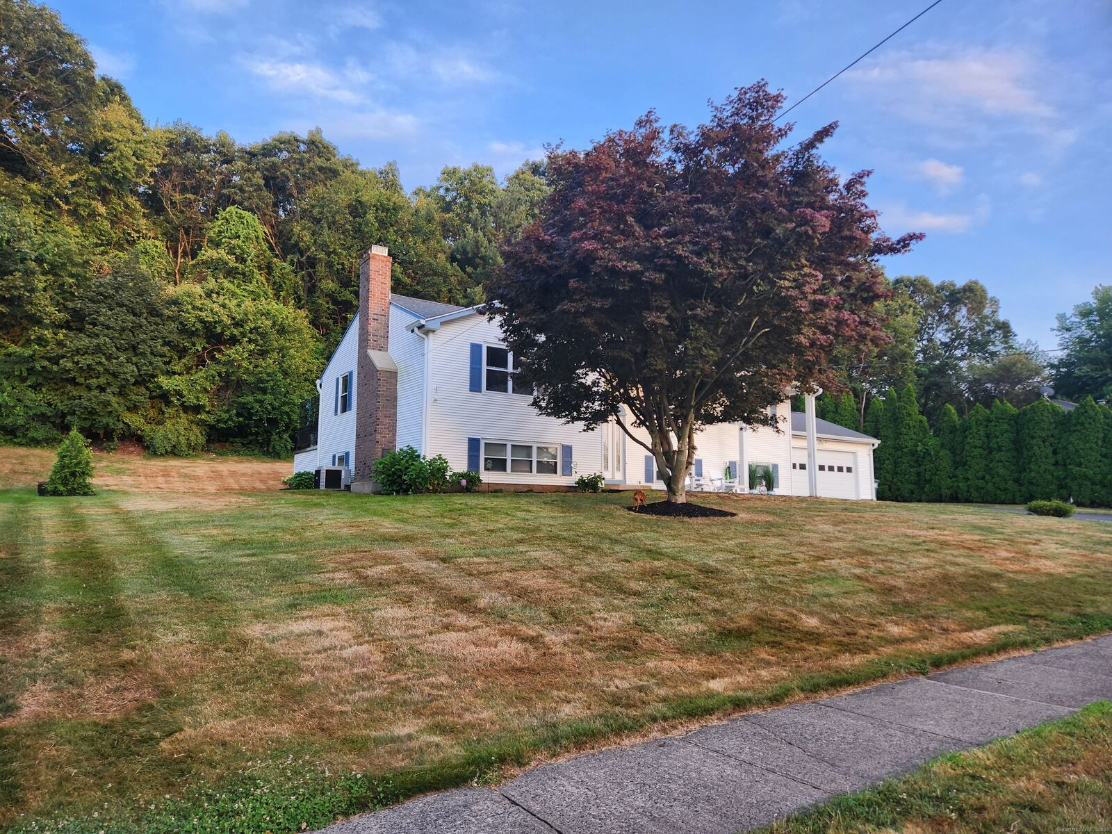Property Photo: 6 Summit Drive CT 06492