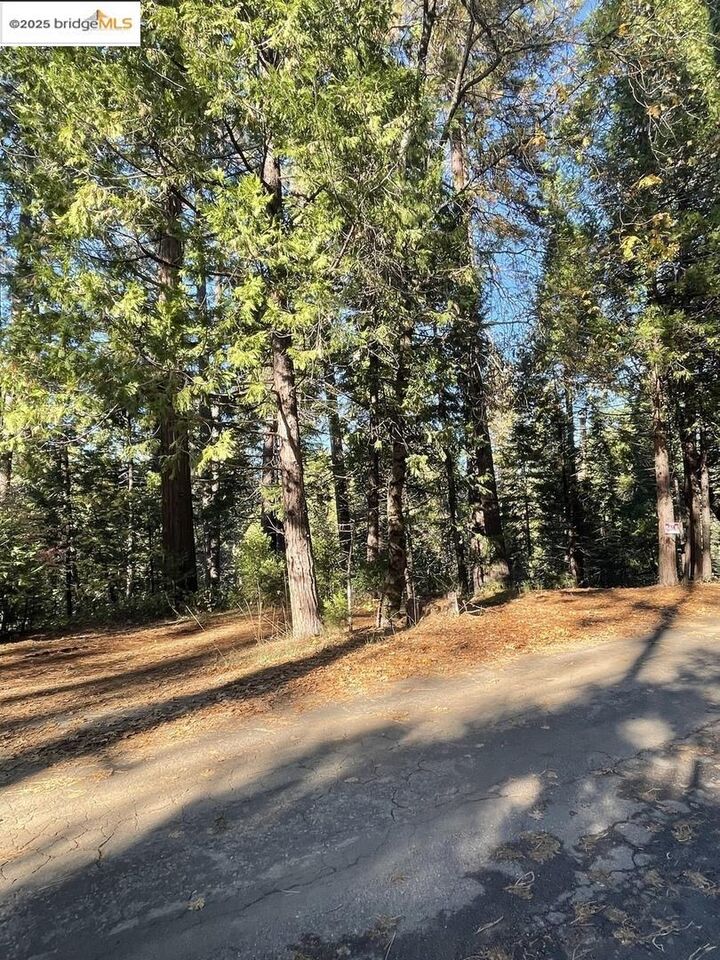 Property Photo: 22447 Ponderosa Dr CA 95383