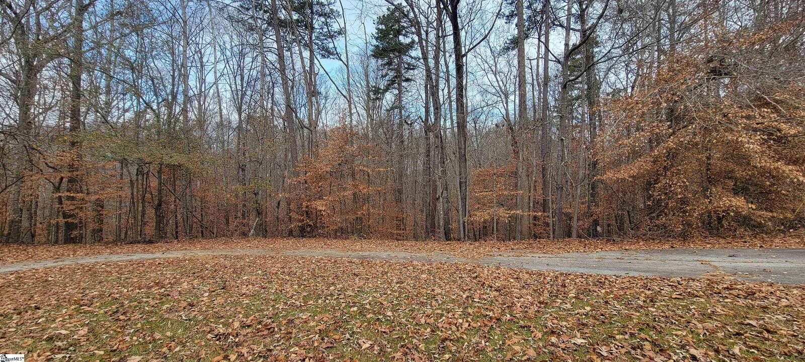 Property Photo:  00 Gum Court  SC 29693 