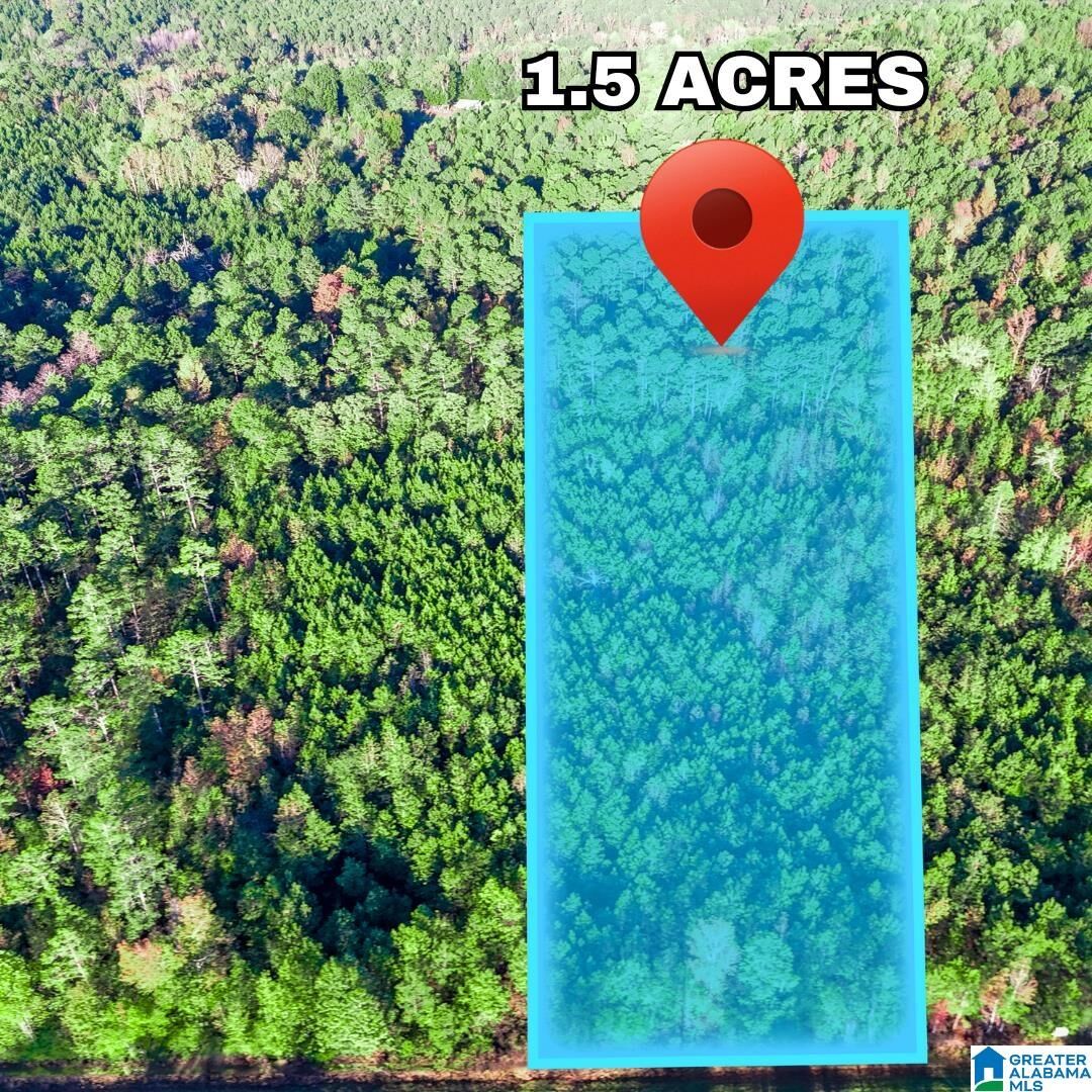 Property Photo:  Tract  3A County Road 329 Tract 3A  AL 36278 