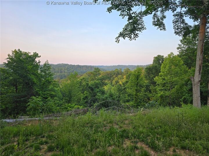 Property Photo: 91 Hawk Ridge Road WV 25082