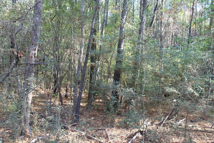 Property Photo:  L65271 Noble Drive  TX 75959 