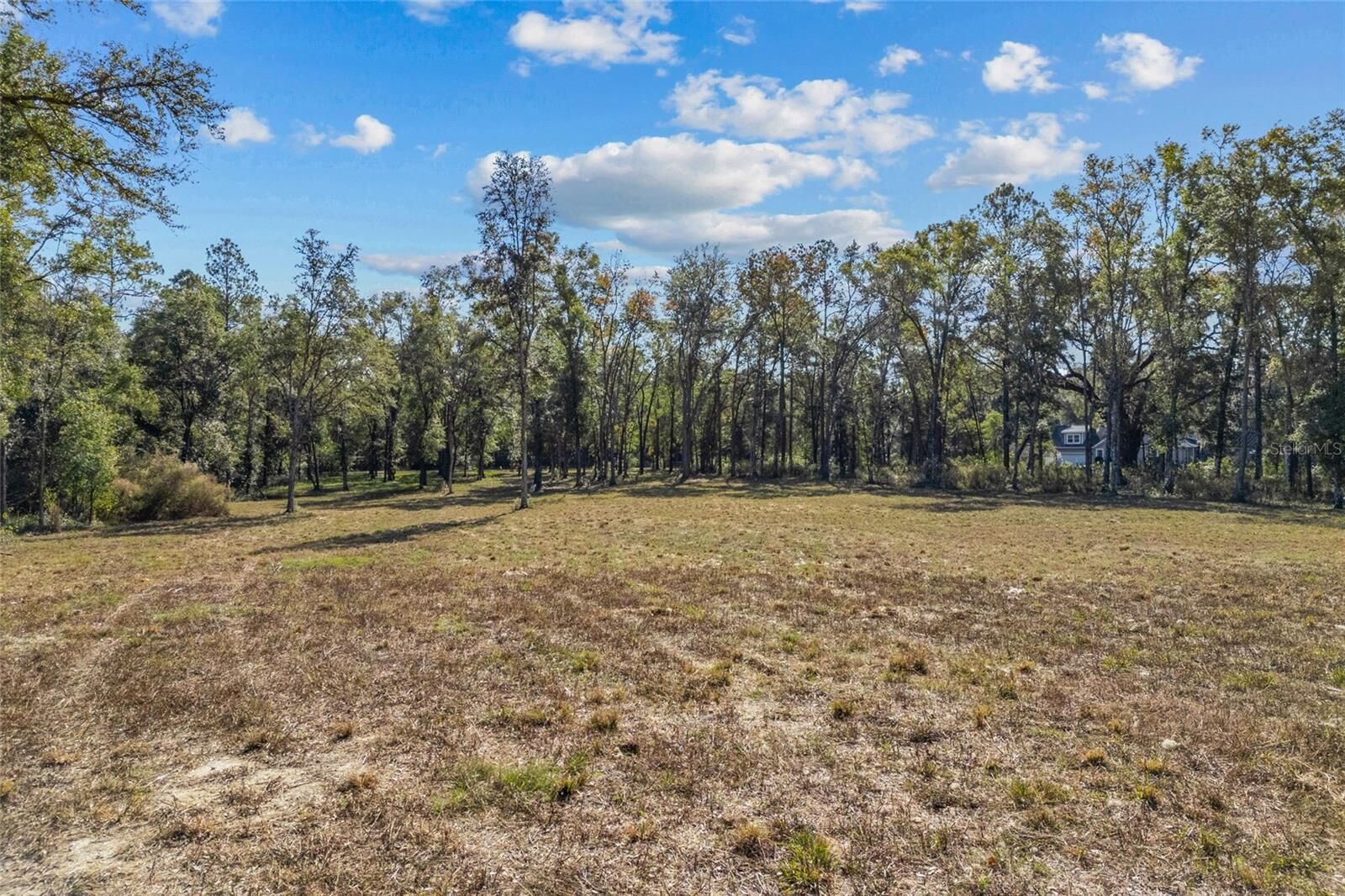 Property Photo:  4120 NW 192nd Drive  FL 32669 