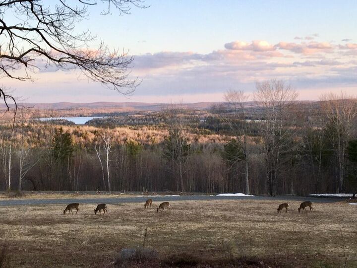 Property Photo:  124 Gray Road  ME 04479 