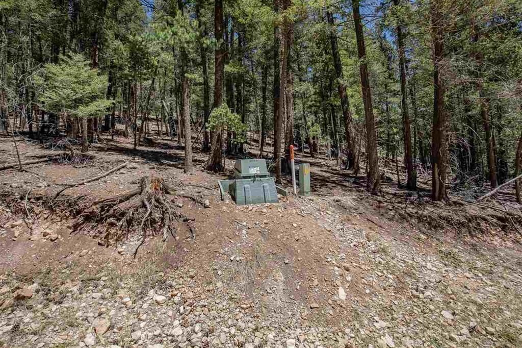 Property Photo:  Forest View Rd  NM 88317-0000 