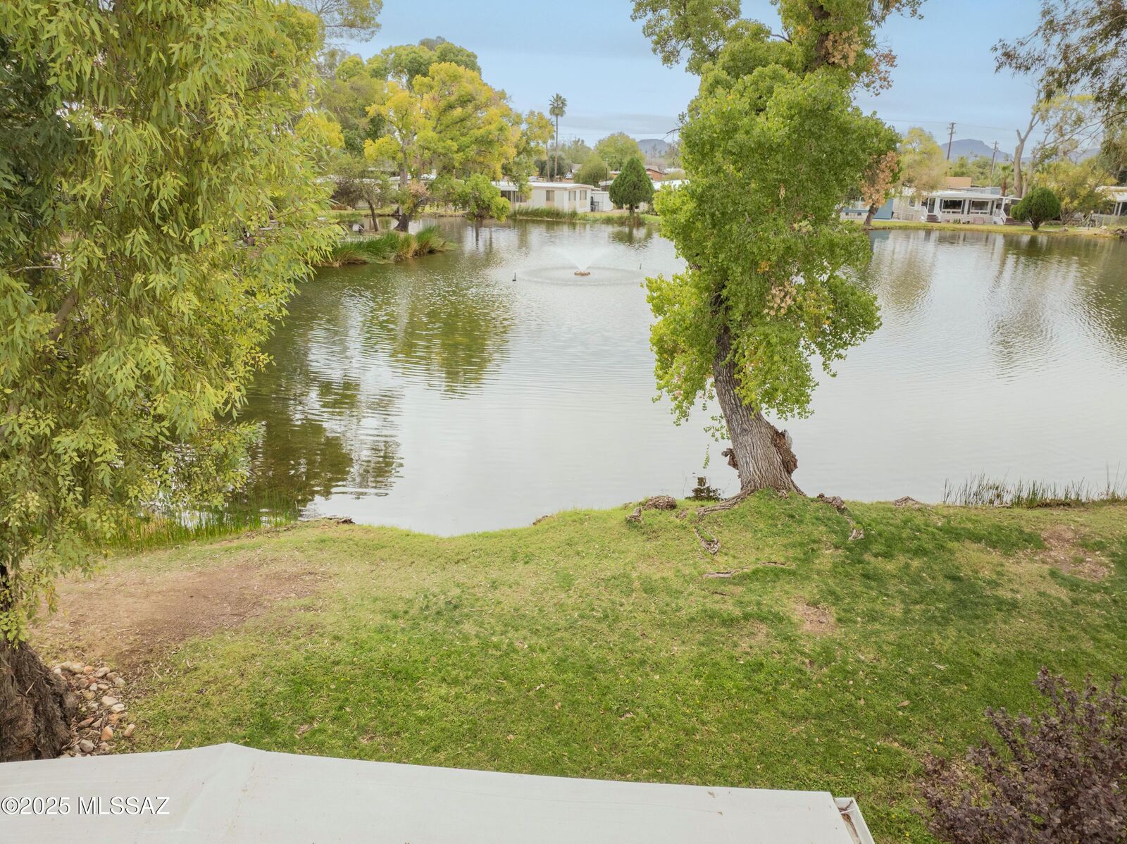 Property Photo:  4550 N Flowing Wells 170  AZ 85710 