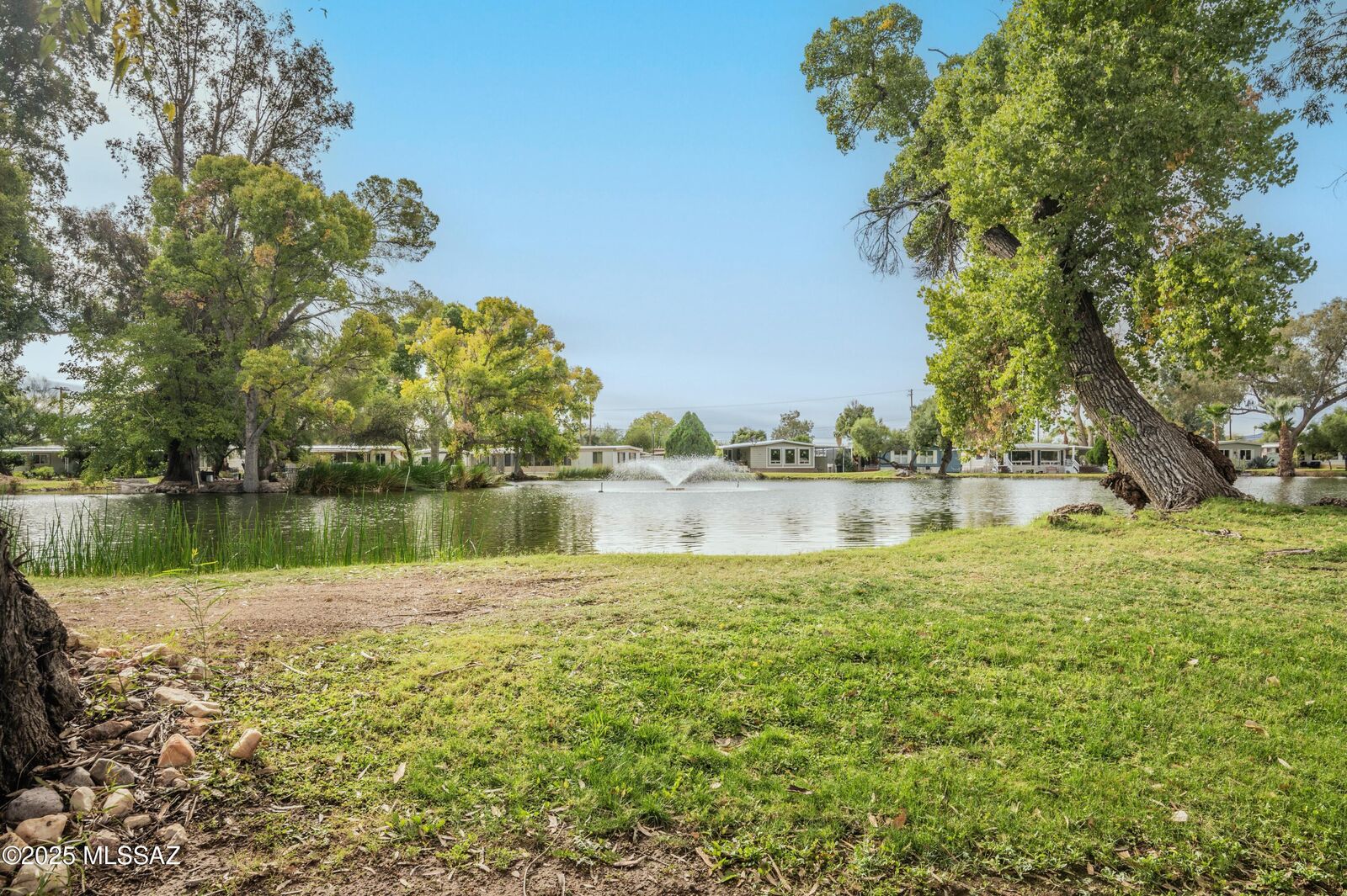 Property Photo: 4550 N Flowing Wells 170 AZ 85710