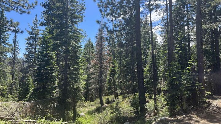 Property Photo:  51460 Red Fir Drive  CA 95728 