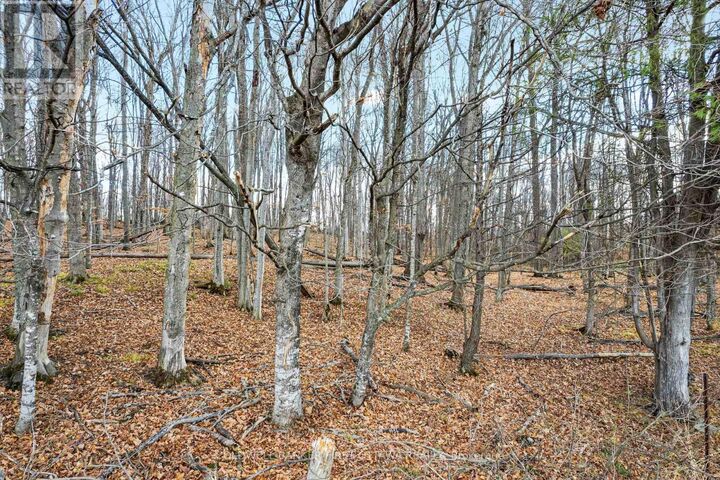 Property Photo:  Pt 2-00 Herron Mills Road  ON K0G 1K0 