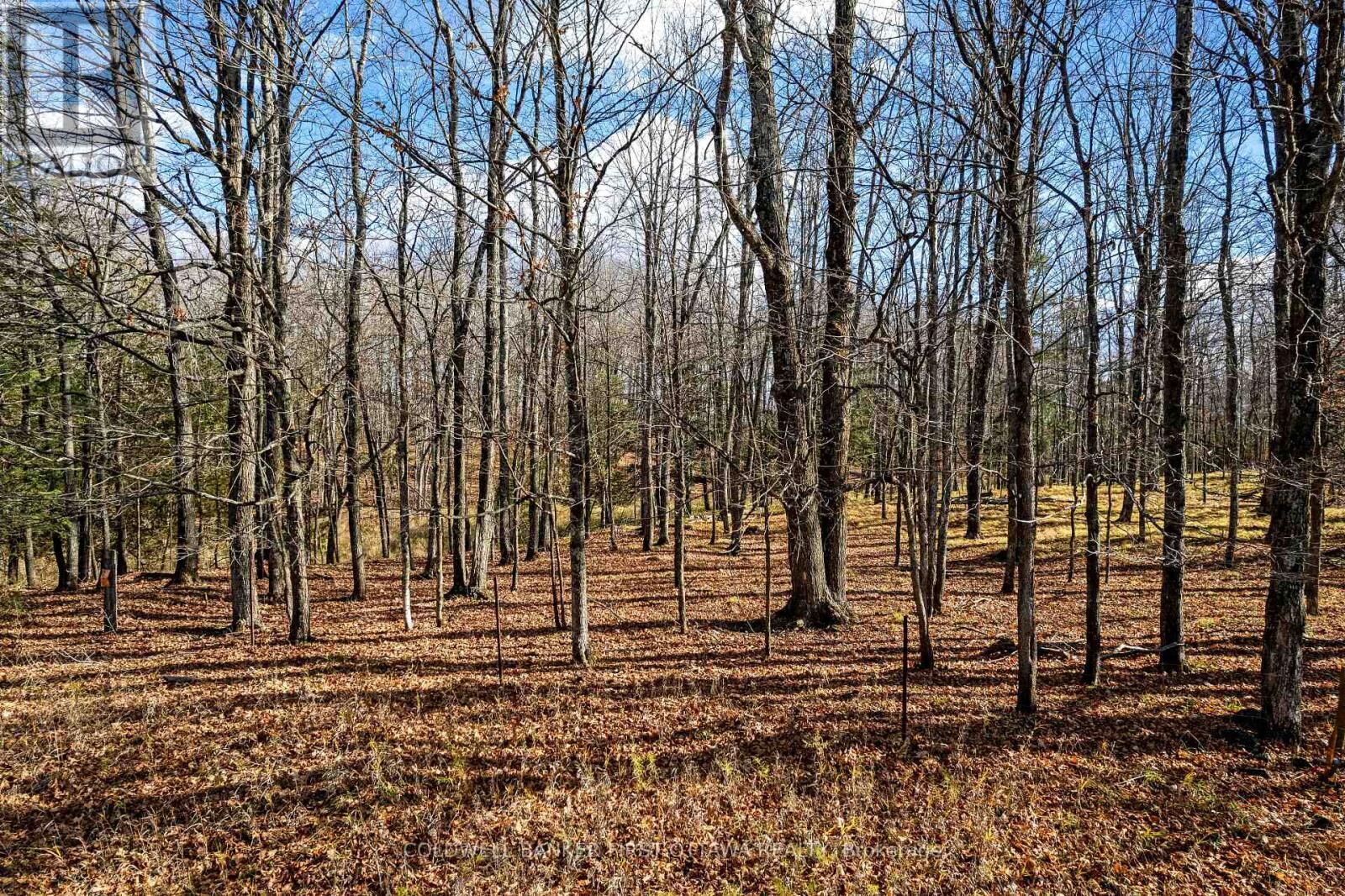 Property Photo:  Pt 3-00 Herron Mills Road  ON K0G 1K0 