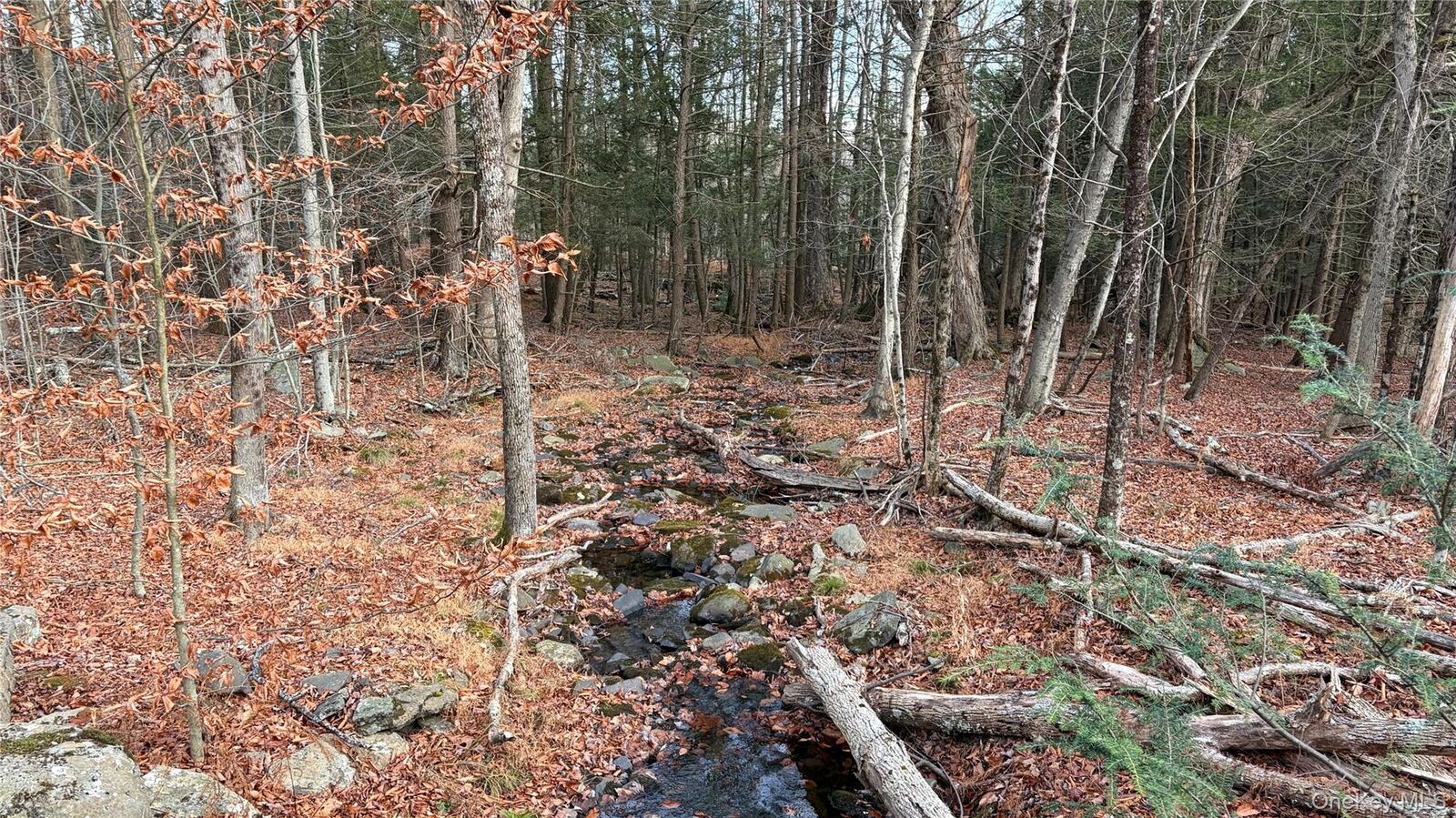 Property Photo: X Aldrich Road NY 12790