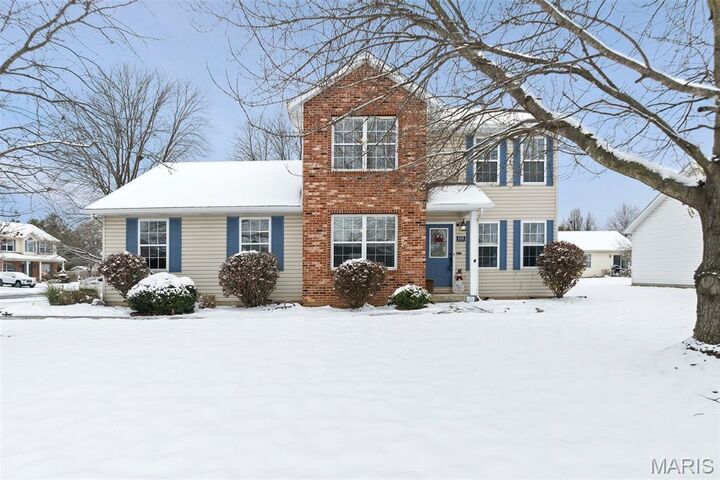410 Ring Of Kerry Drive  Belleville IL 62221 photo