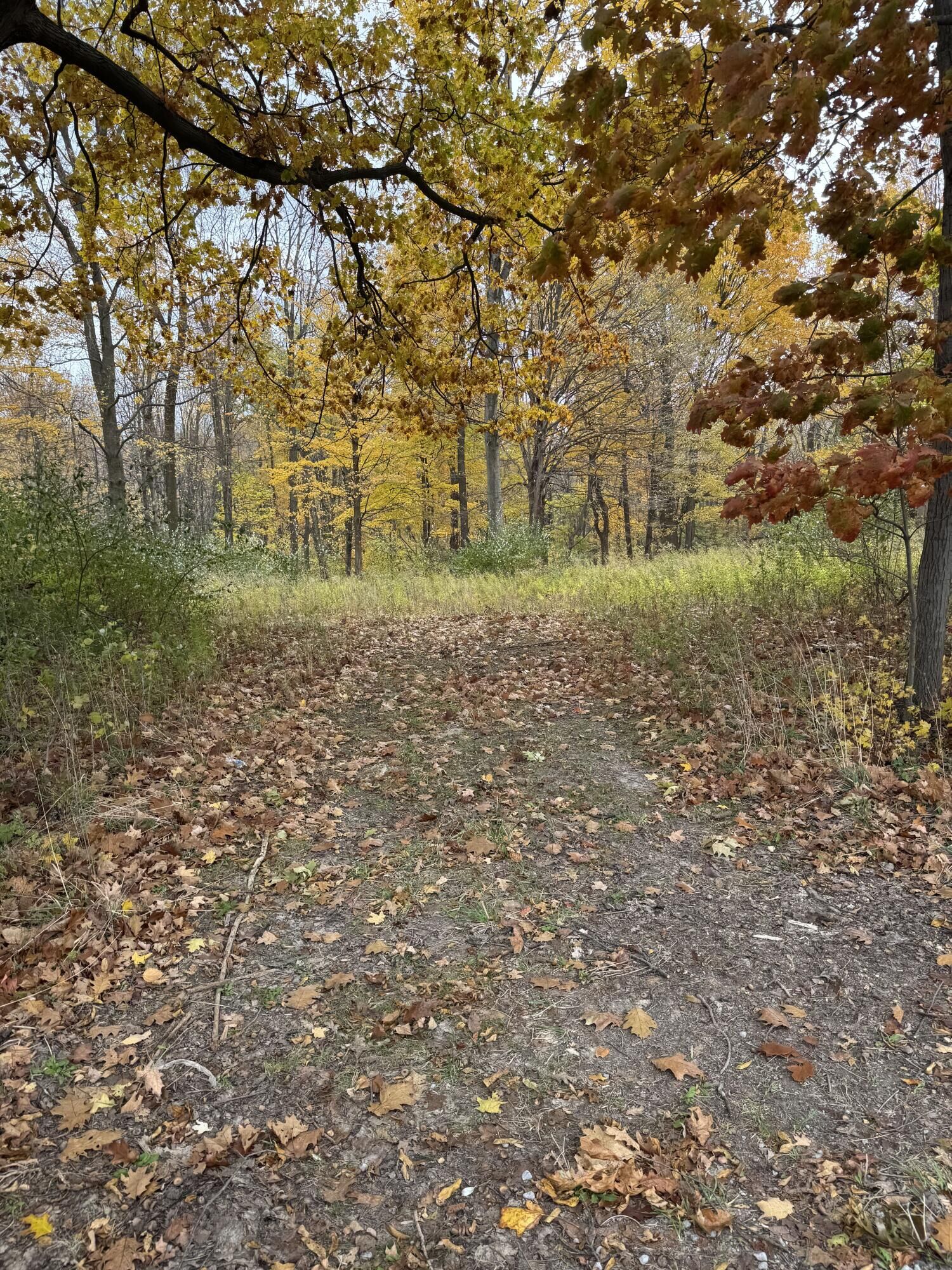 Property Photo:  000 W Clear Lake Road  MI 49107 