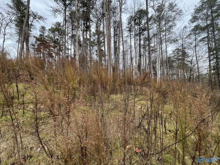 Property Photo: 5627 Alabama Highway 227 AL 35976