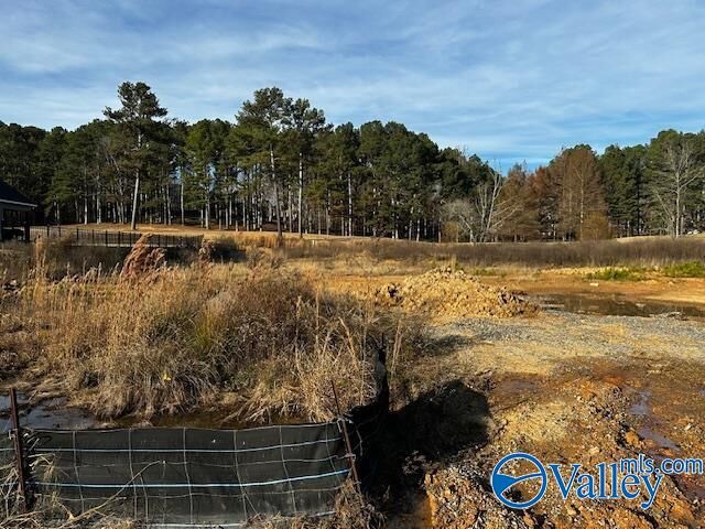 Property Photo:  Lot 10 Cherokee Ridge Drive  AL 35175 