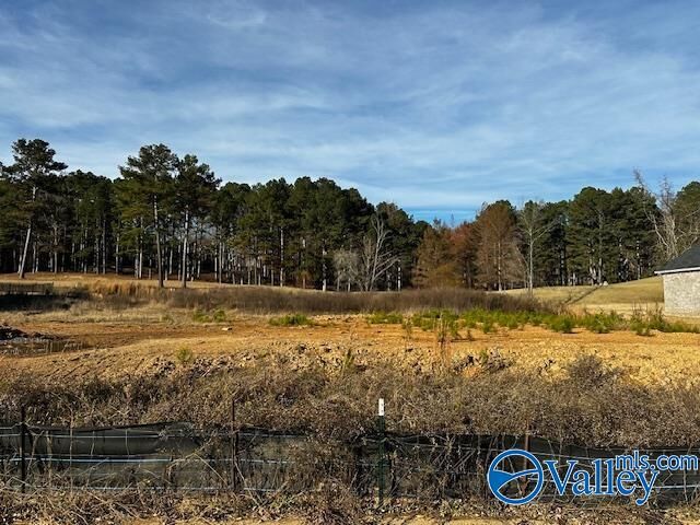 Property Photo:  Lot 11 Cherokee Ridge Drive  AL 35175 