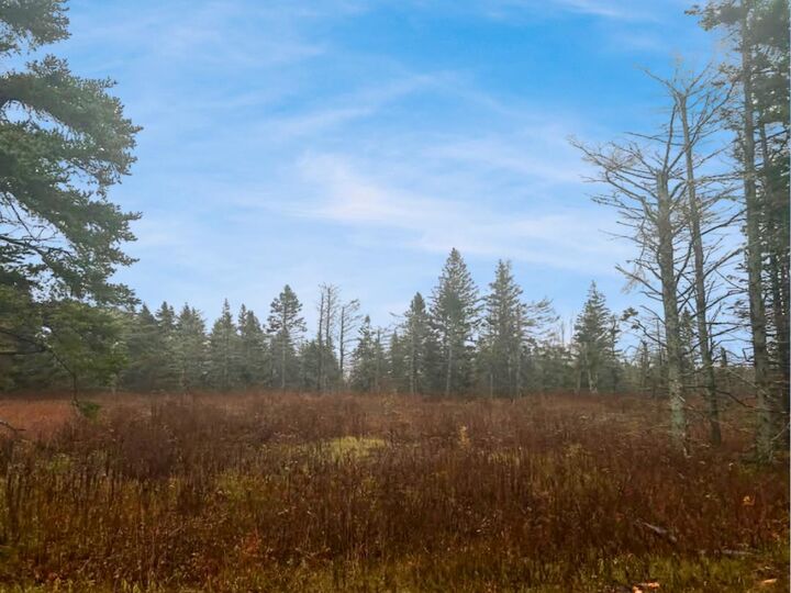 Property Photo:  Lot Route 336  PE C0A 2A0 