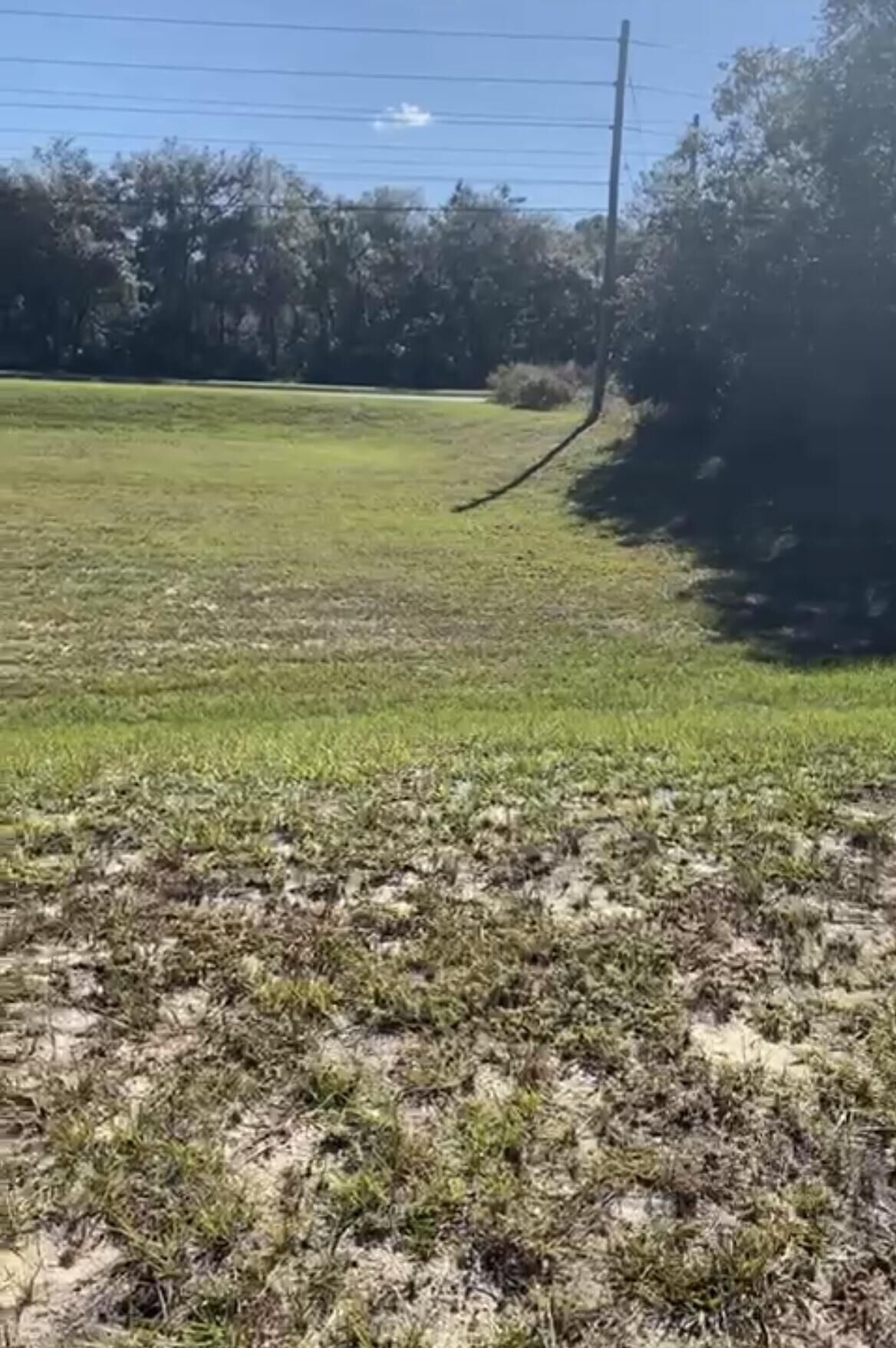 Property Photo:  4017 SW 133rd Loop  FL 34473 