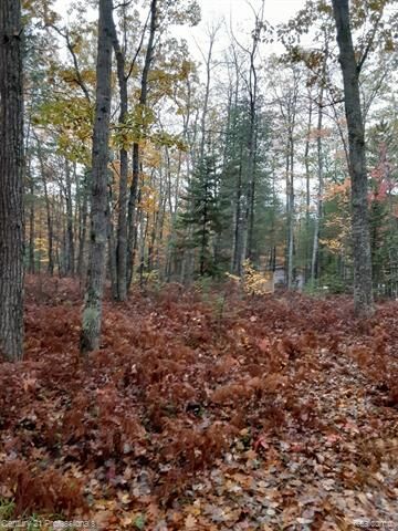 6710 Chippewa Trail  Rogers City MI 49779 photo