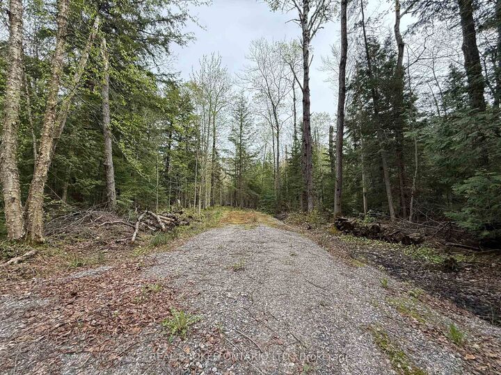 0 Bear Cave Road — photo 1