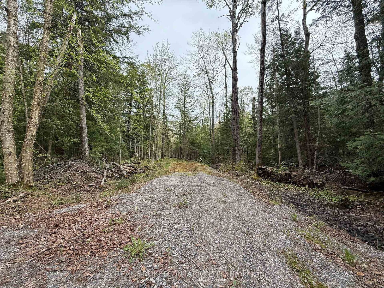 Property Photo:  0 Bear Cave Road  ON P0C 1J0 