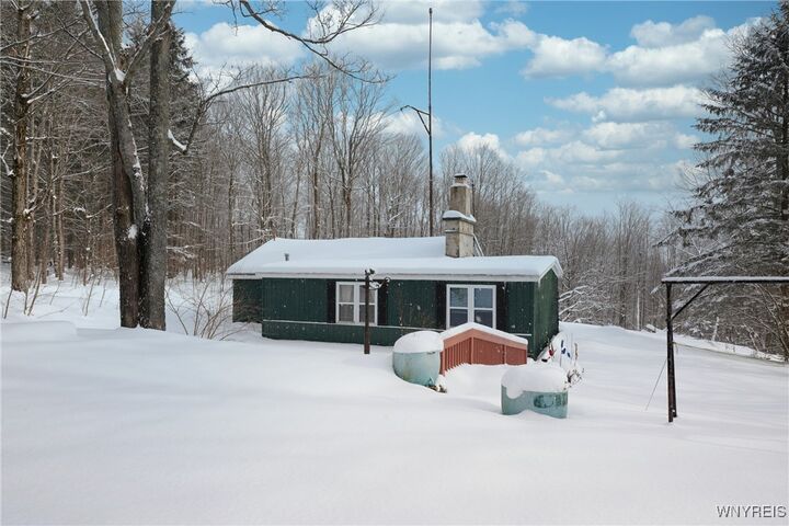 7730 Irish Hill Road  Ellicottville NY 14171 photo