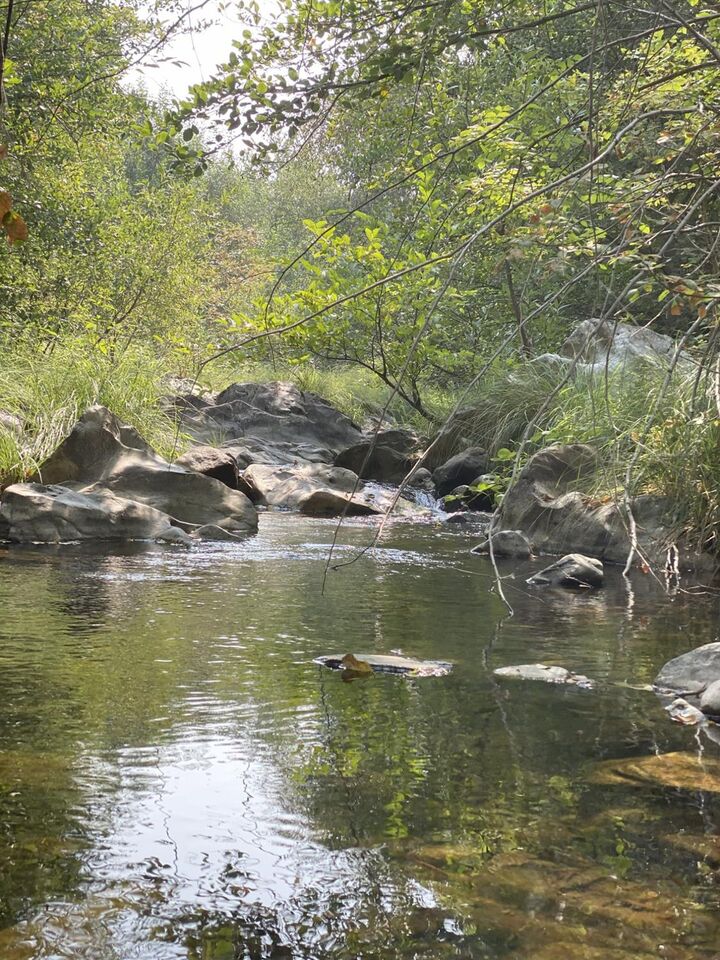 Property Photo: 3440 Forni Road CA 95667