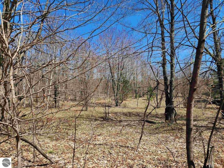 Property Photo: Vl Wilamont Circle MI 49659